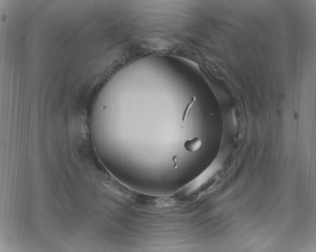 X0000070180612200606021034