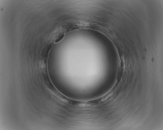 X0000070180614200606021034