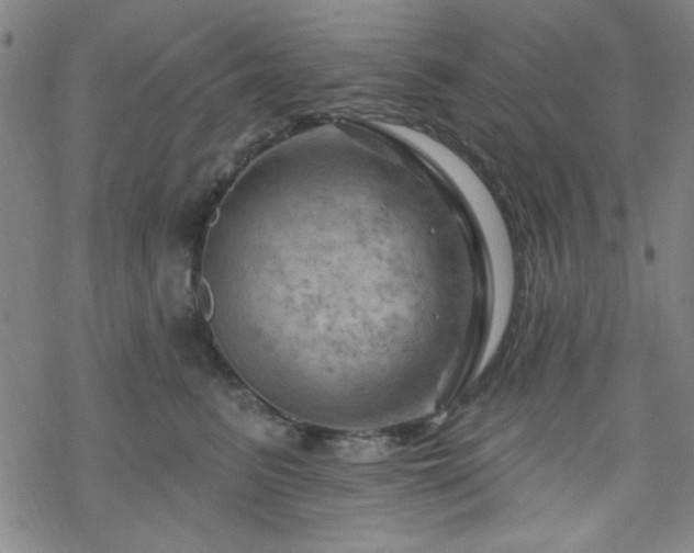 X0000070180615200606021034