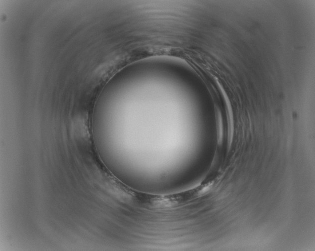 X0000070180616200606021034