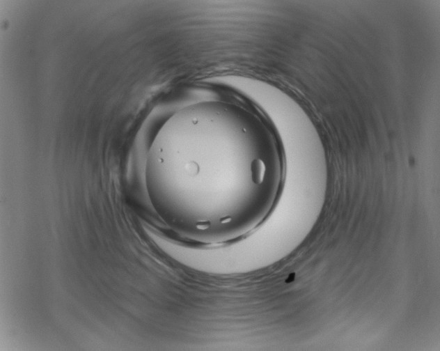 X0000070180617200606021034