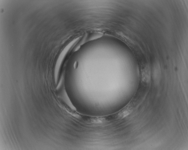 X0000070180618200606021034