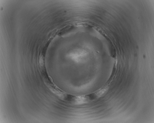 X0000070180623200606021034