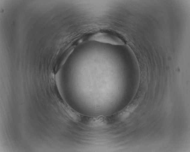 X0000070180624200606021034