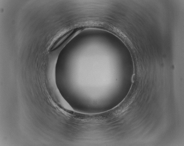 X0000070180625200606021033