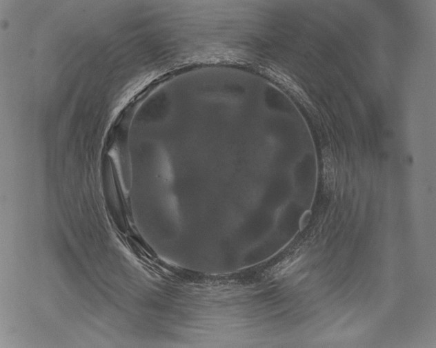 X0000070180626200606021033