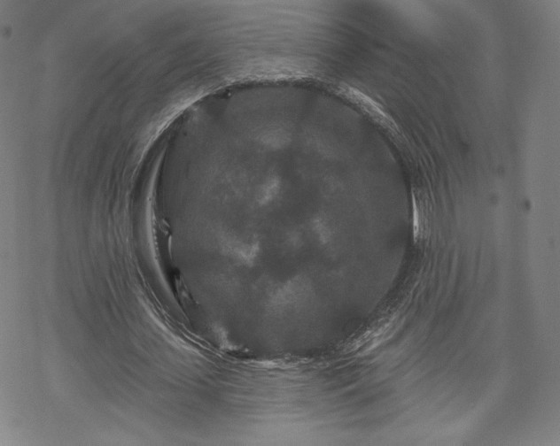 X0000070180627200606021033