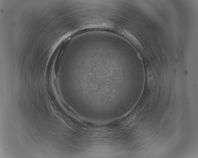 X0000070180628200606021033