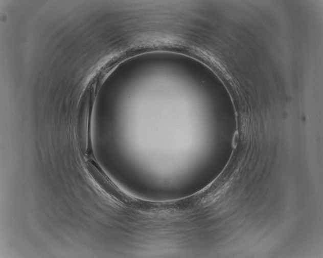 X0000070180629200606021033