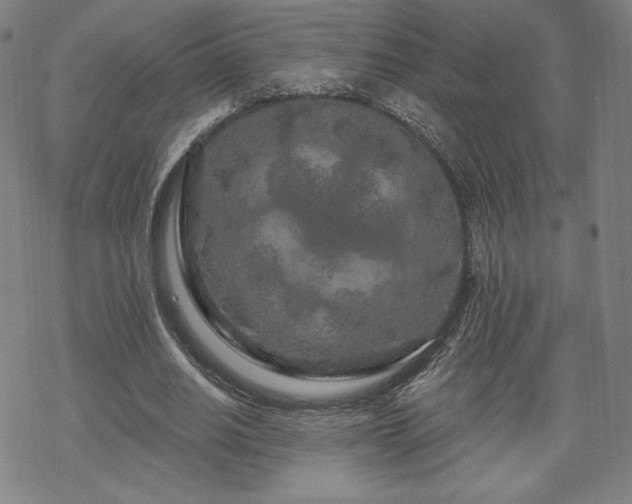 X0000070180630200606021033