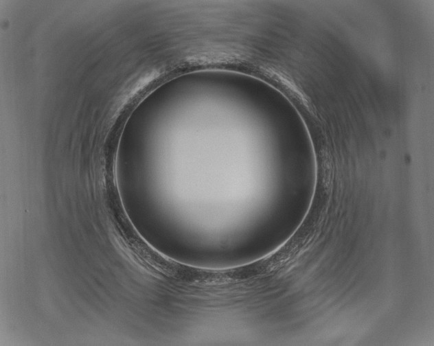 X0000070180631200606021033