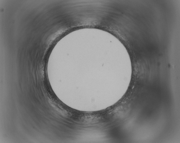 X0000070180632200606021033