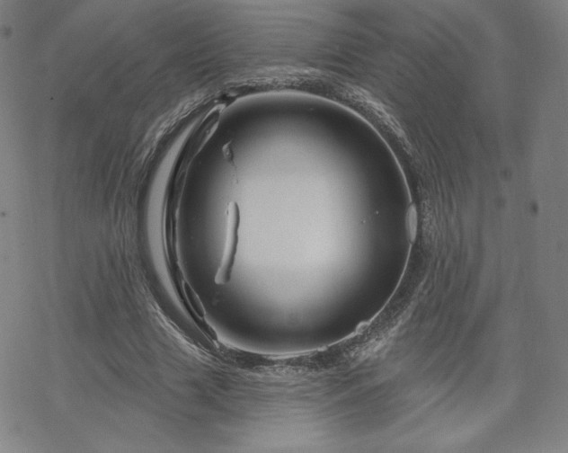 X0000070180633200606021033