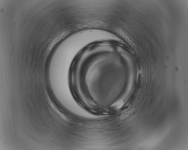 X0000070180634200606021033