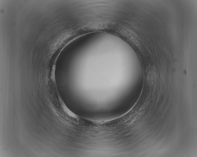 X0000070180635200606021033