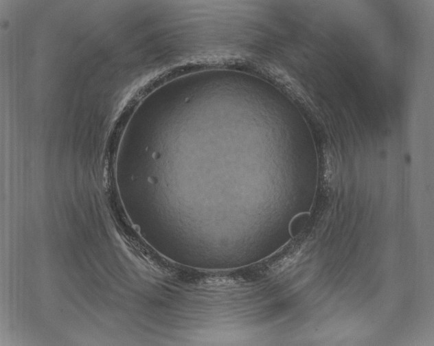 X0000070180636200606021033