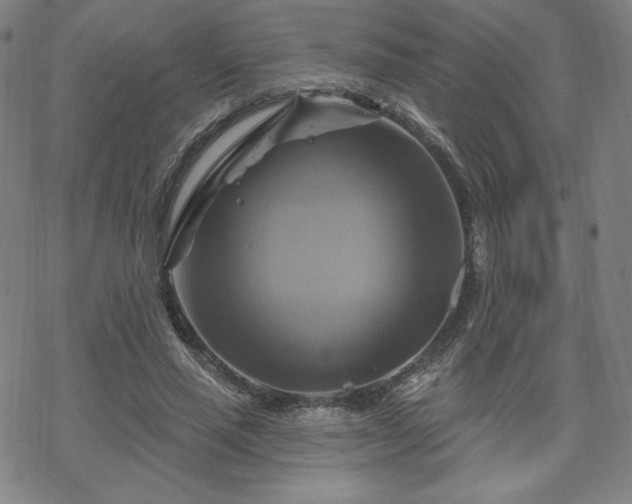 X0000070180637200606021033