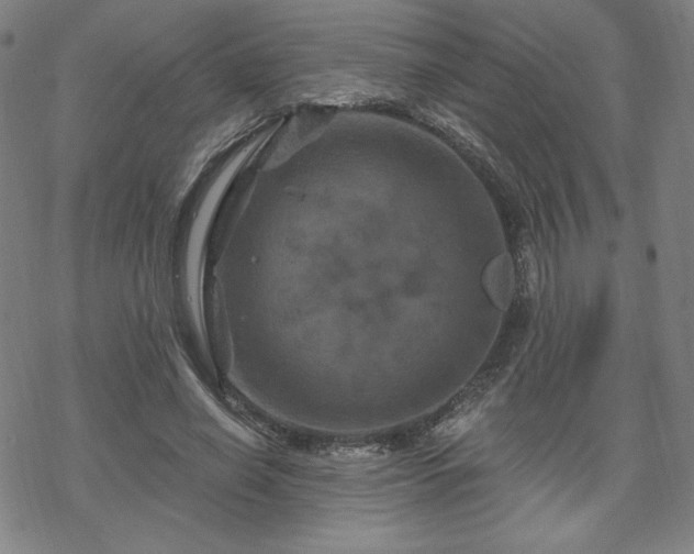 X0000070180638200606021033