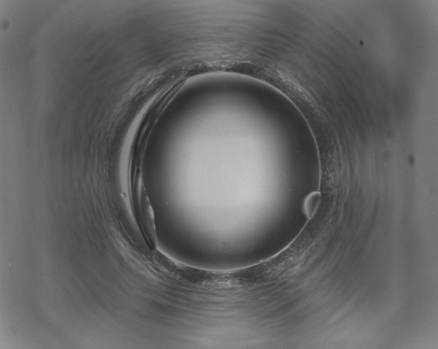 X0000070180639200606021033