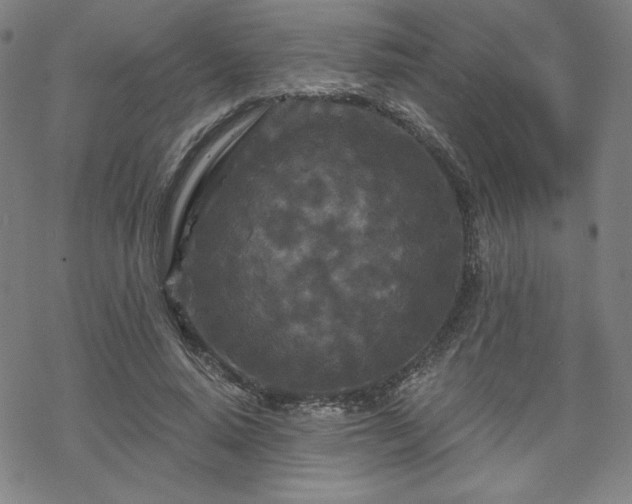 X0000070180640200606021033