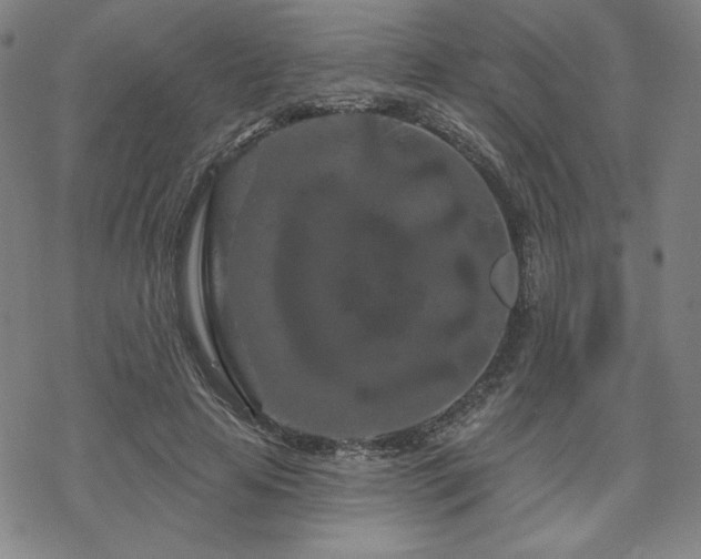 X0000070180641200606021033