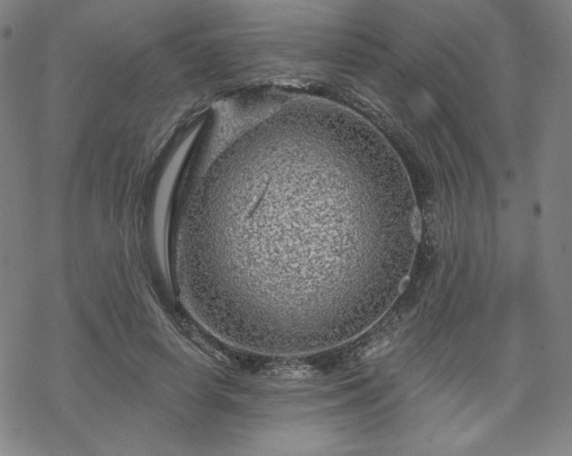 X0000070180642200606021033