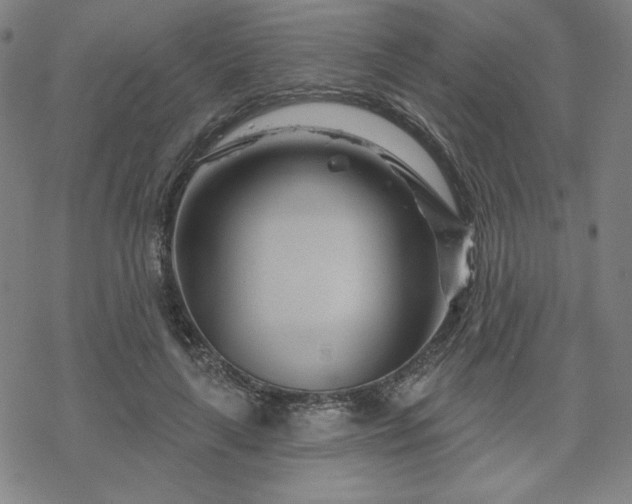 X0000070180643200606021033