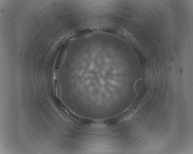 X0000070180644200606021033