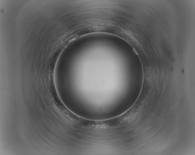 X0000070180645200606021033