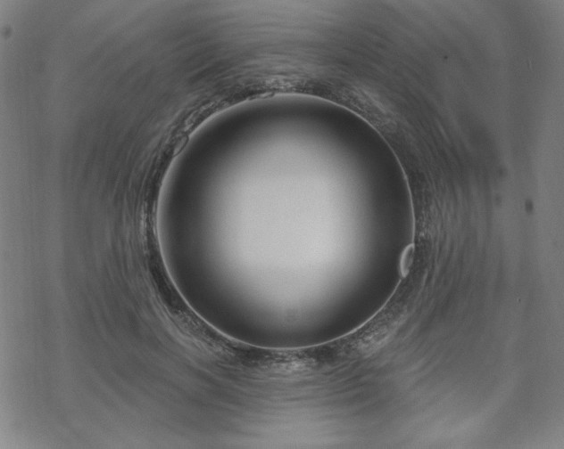 X0000070180646200606021033