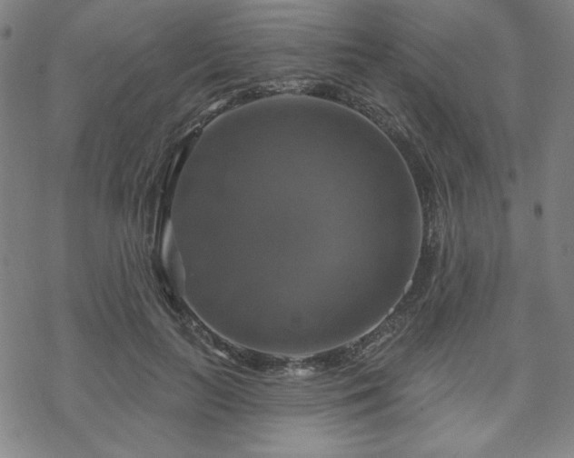 X0000070180647200606021033