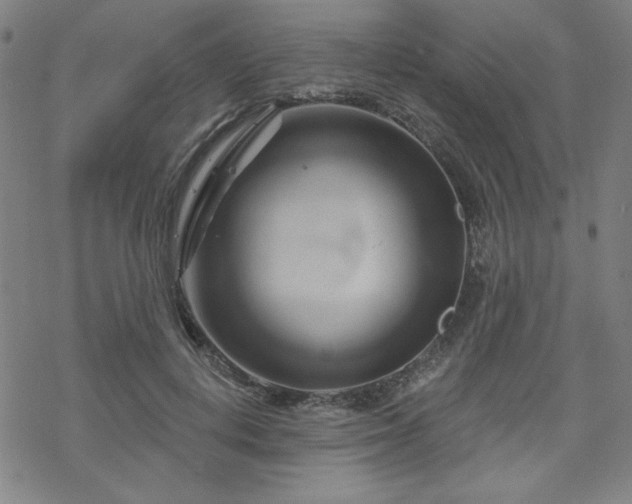 X0000070180648200606021033