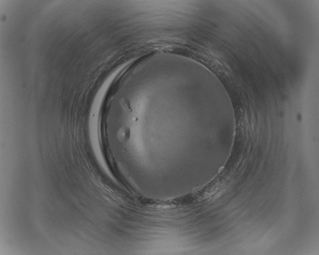 X0000070180649200606021033