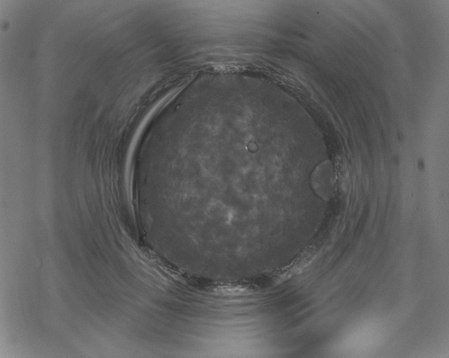 X0000070180650200606021033