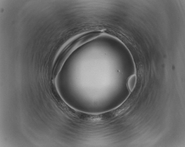 X0000070180651200606021033