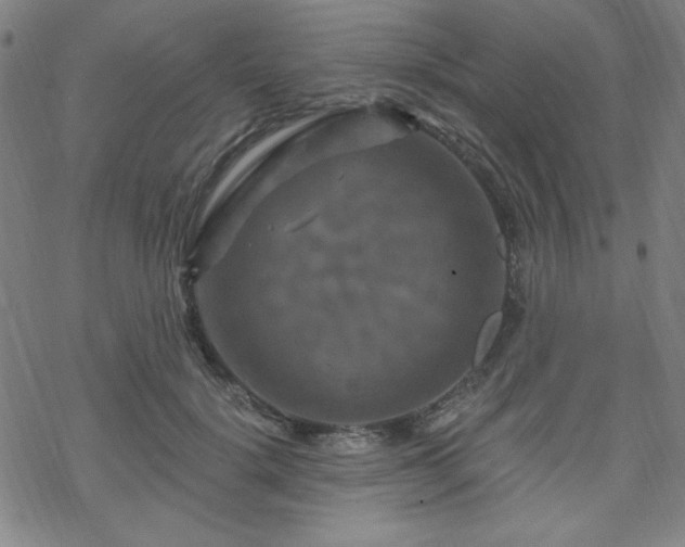 X0000070180652200606021033