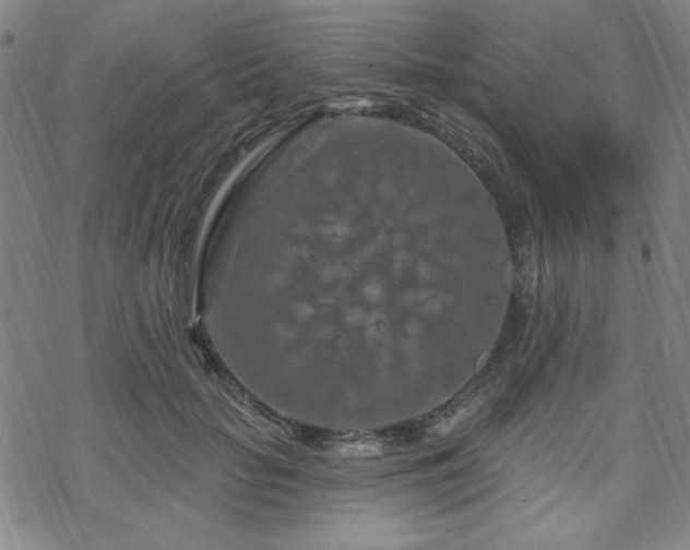 X0000070180653200606021033