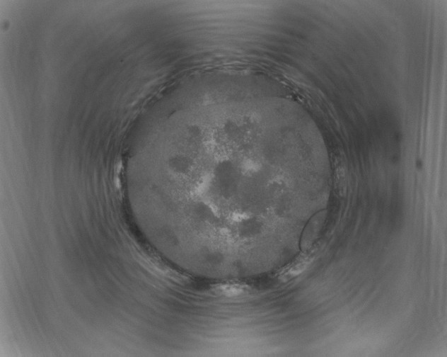 X0000070180654200606021033