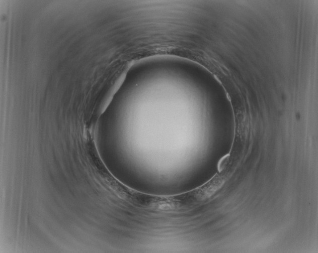 X0000070180655200606021033