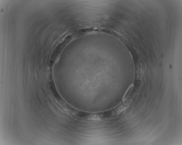 X0000070180656200606021033