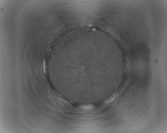 X0000070180659200606021034