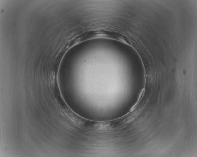 X0000070180660200606021034