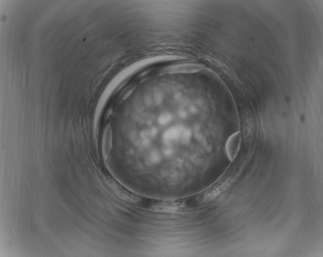 X0000070180661200606021034