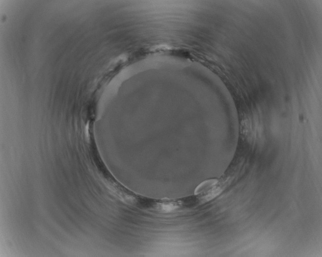 X0000070180662200606021034