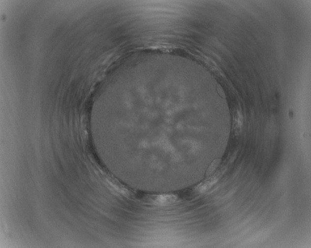 X0000070180663200606021034