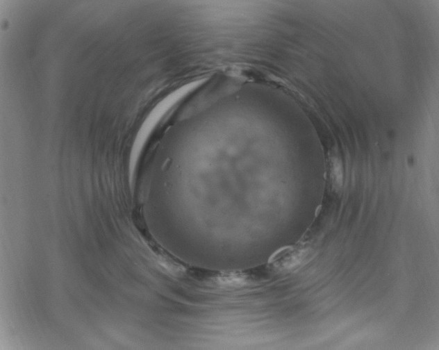 X0000070180668200606021034