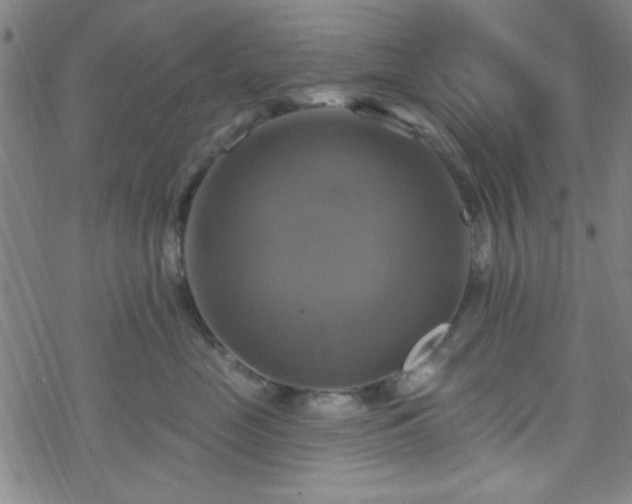 X0000070180669200606021034