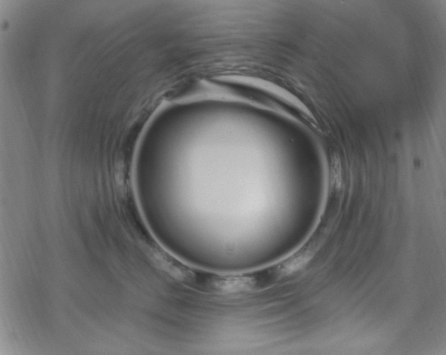 X0000070180670200606021034