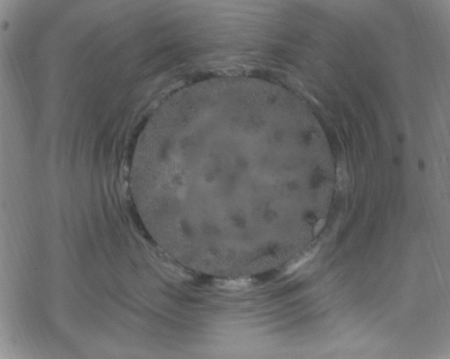 X0000070180671200606021034