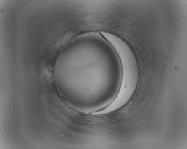 X0000070180672200606021034